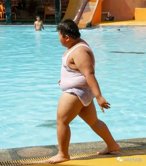 美国人为什么这么胖