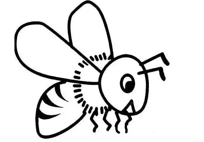 蜜蜂蜜蜂简笔画简笔画