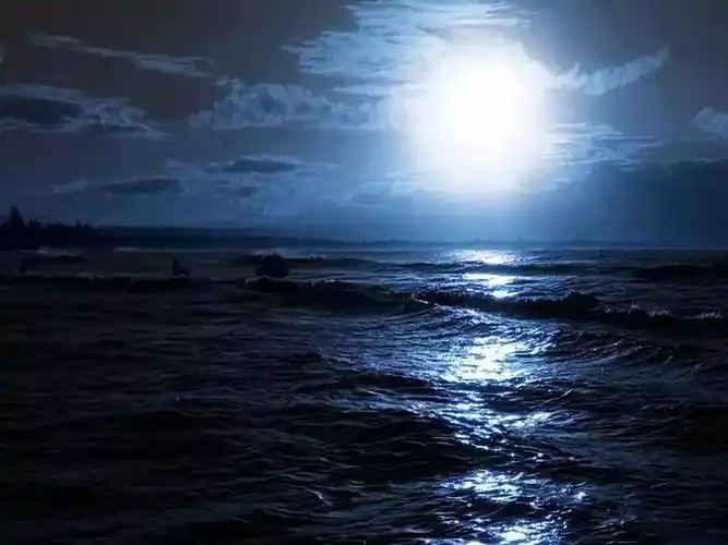 名家朗诵|海子:面朝大海,春暖花开_月光