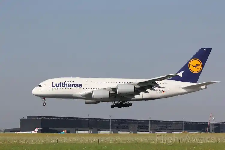 airbus a380-800 (d-aimg) 照片