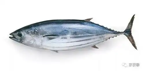 文馨岁时记 | 稻烧鲣鱼