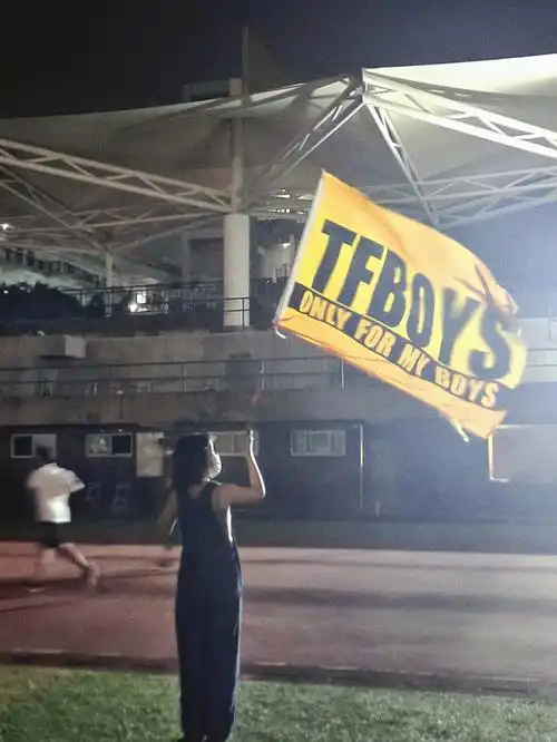 我为tfboys举大旗#tfboys  #宝藏男孩tfboys  #tfboys大旗