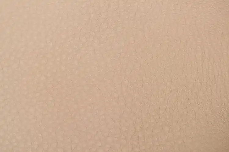 有贴身质感的真皮纹理背景图片-浮雕在绿色鳄鱼皮下的皮革背景素材