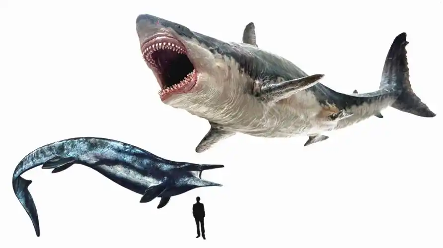 《巨齿鲨2》开拍时间确认,《金刚之子》要出,《魔斯拉》难等到