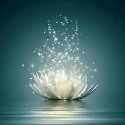 星光白莲花_带来好运的微信头像图片_扣扣居