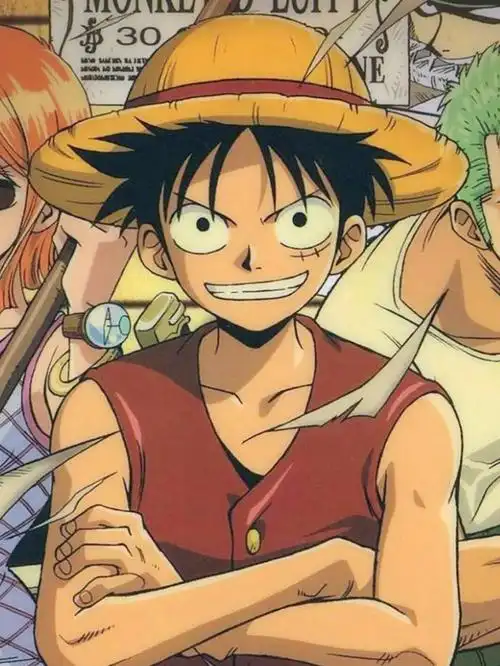 来波海贼王的图