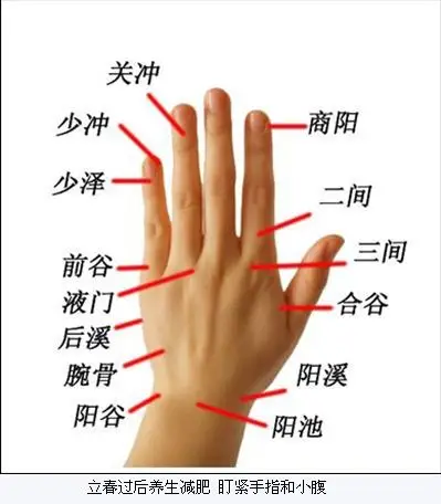 手相算命:手指很人性格(一)