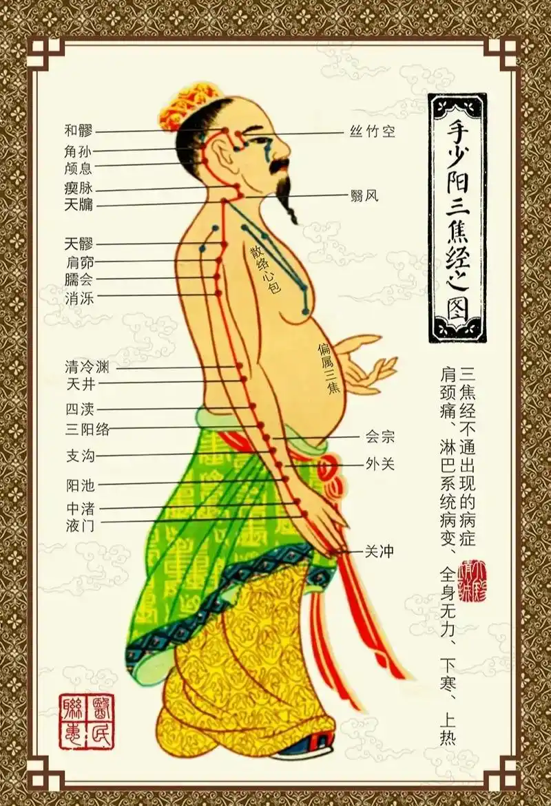 手少阳三焦经.十二经脉之一,手三阳经其一,子午流注时辰晚上2 - 抖音