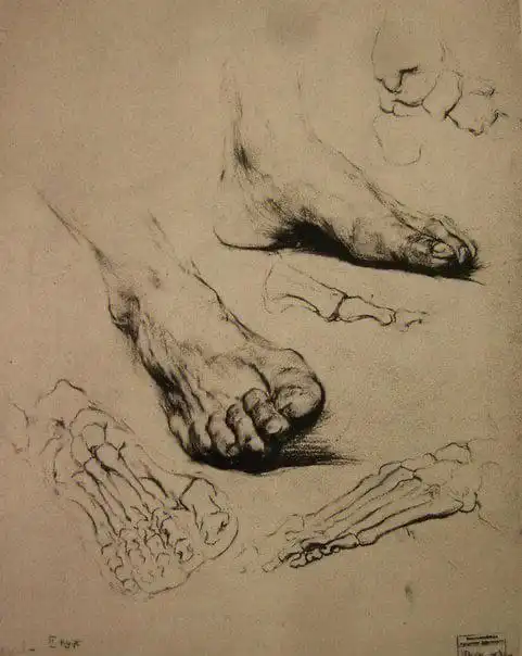 美术生的日常  #列宾美院  #圣彼得堡  #素描  #素描脚