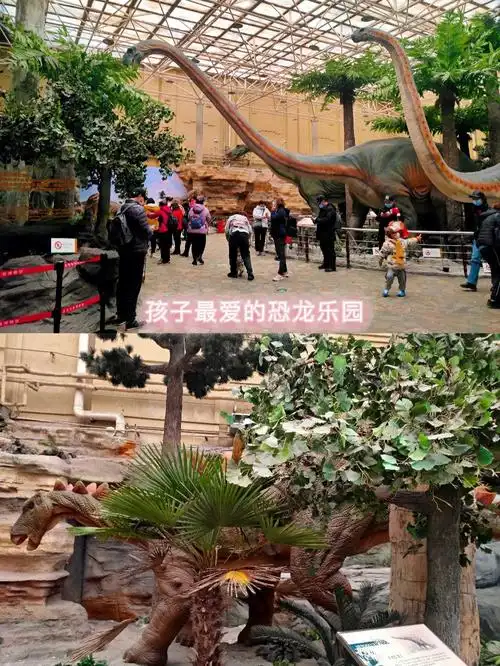 北京自然博物馆老少皆宜好去处