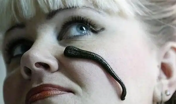 俄罗斯吸血水蛭养殖场 让人恐惧(组图)