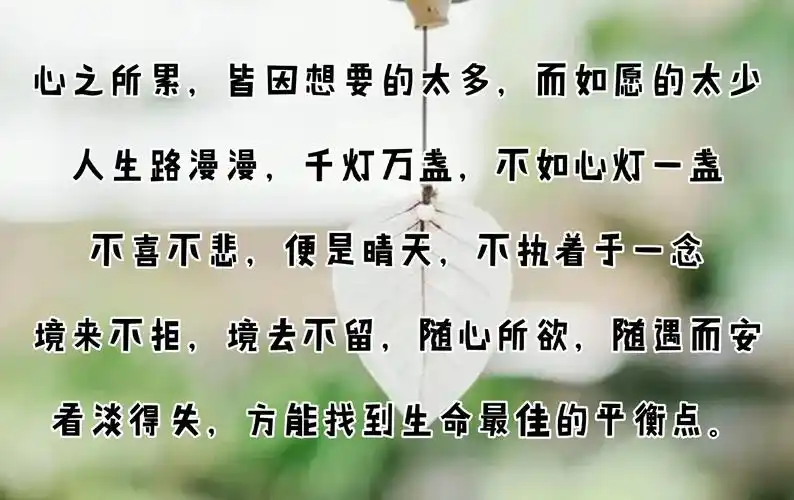 看淡得失,才能找到人生的平衡点