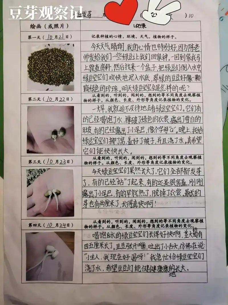大家问的豆芽观察记录表格,照片就只剩这张拼接的,我是用a4大 - 抖音