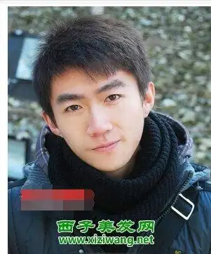 2015款男生中长碎发发型造型图(2)