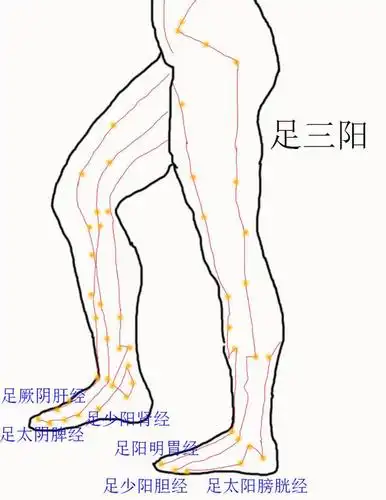 气功大周天的运行路线