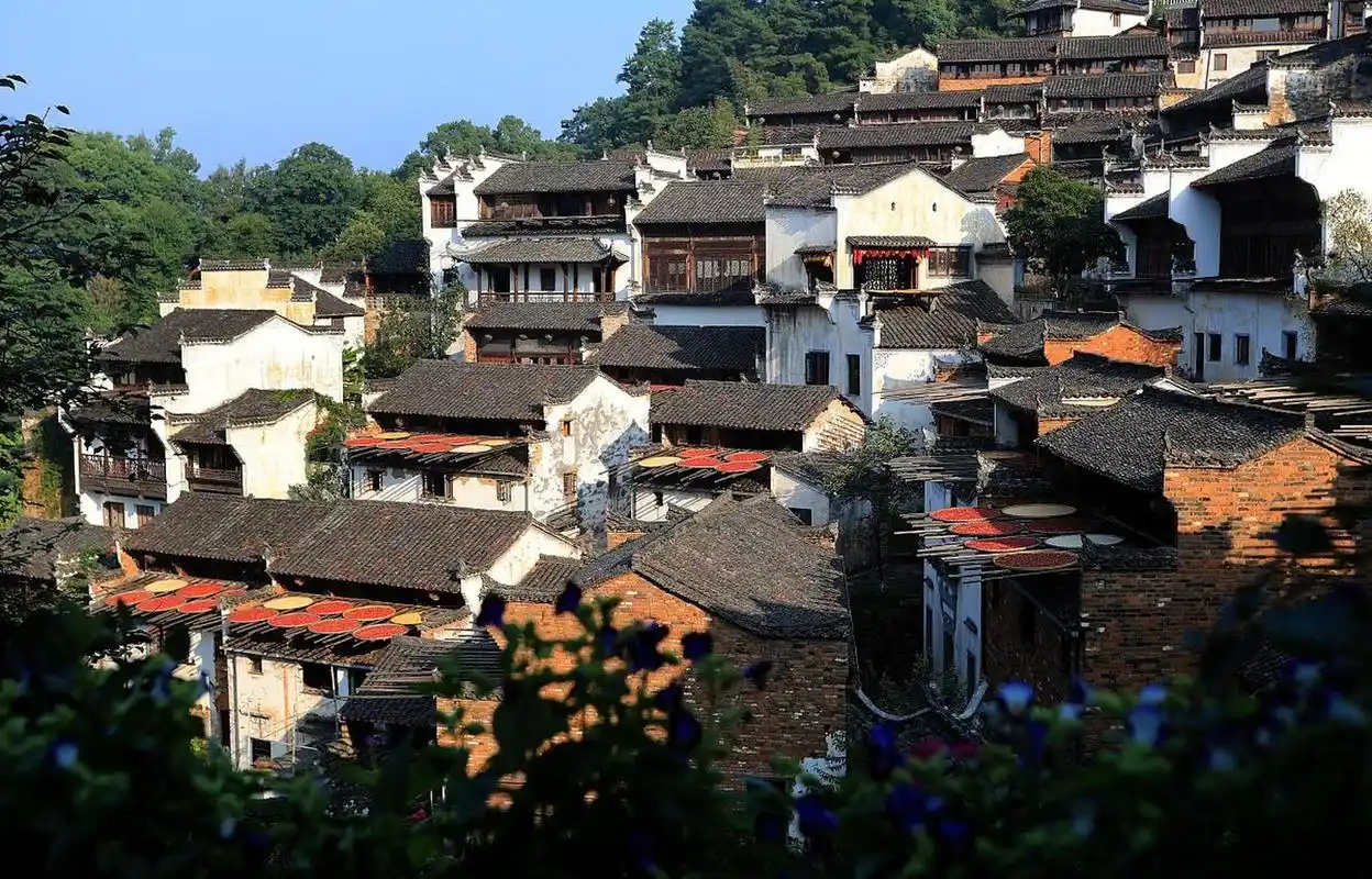 游览篁岭,江湾古镇等景点,品尝当地美食,感受大自然的宁静与和谐.