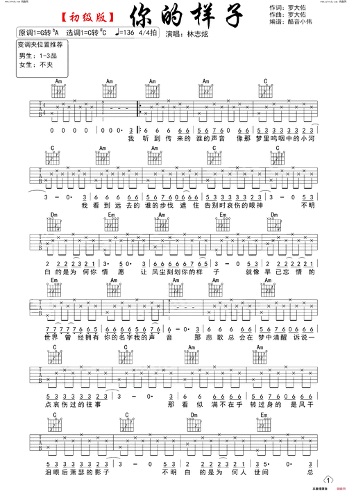 你的样子吉他谱初级版简谱
