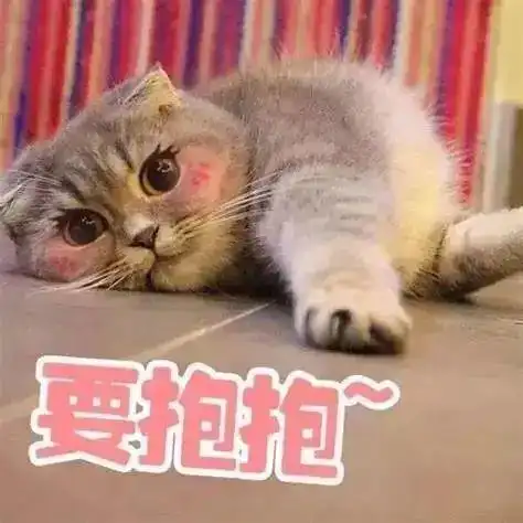 要抱抱可爱萌宠表情