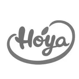hoya_注册号2019958_商标注册查询 - 天眼查