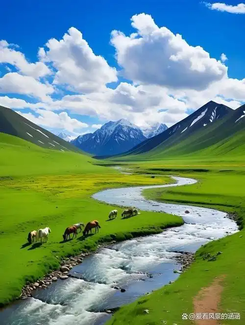 美图欣赏——天苍苍野茫茫,风吹草低见牛羊