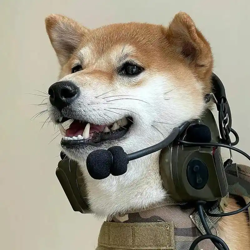 这才是招蜂引蝶的大佬头像#小众头像 - 抖音