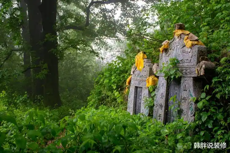 坟墓_风水_灵芝