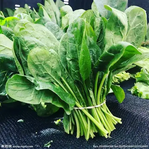 菠菜图片