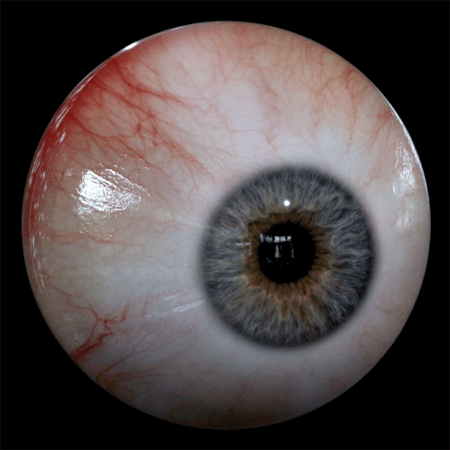 【技术解码】如何用maya制作出一对儿水灵灵的大眼睛