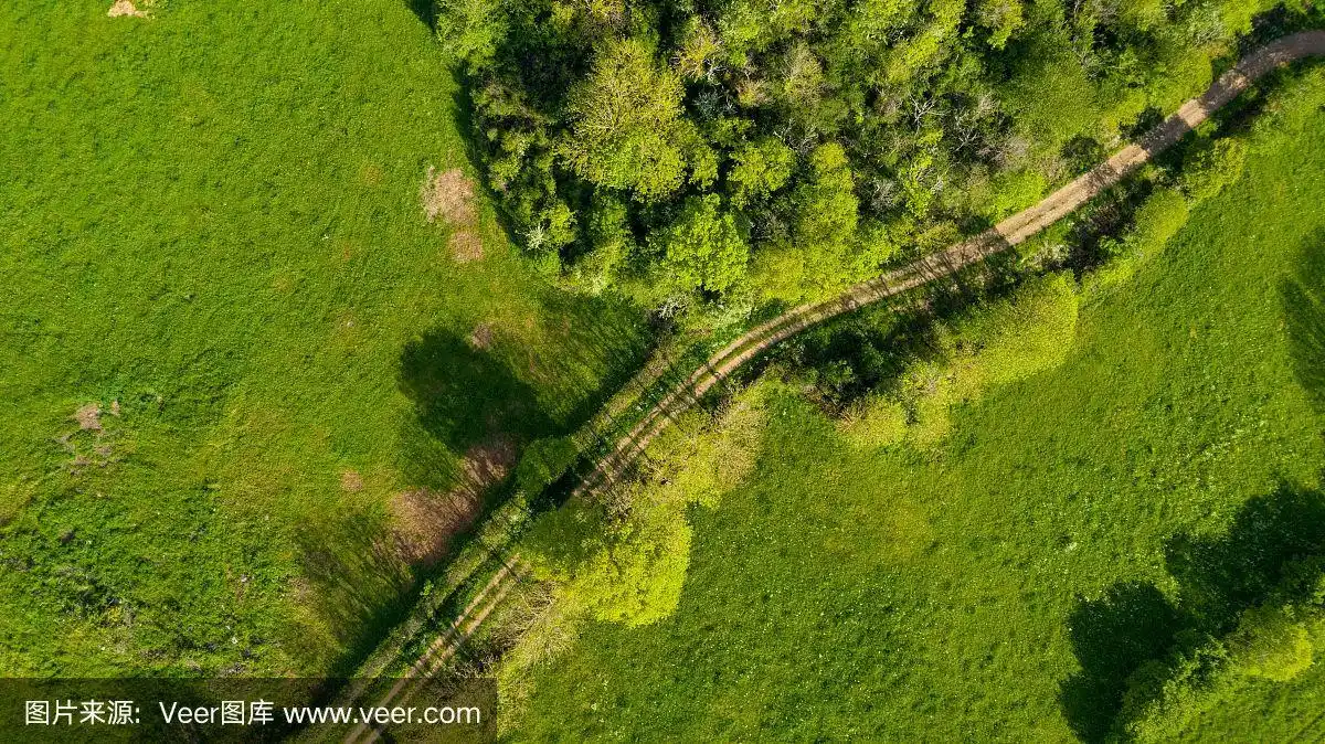 鸟瞰图,绿色景观,有森林和草地