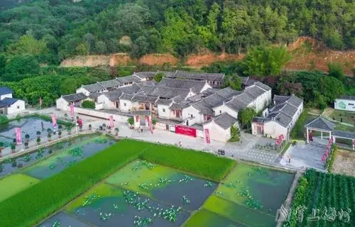 广东梅州大埔:让历史文物"留住形""活起来""走出去"!