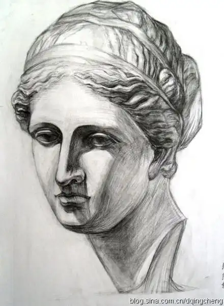 谁有这张断臂维纳斯的素描临摹稿?