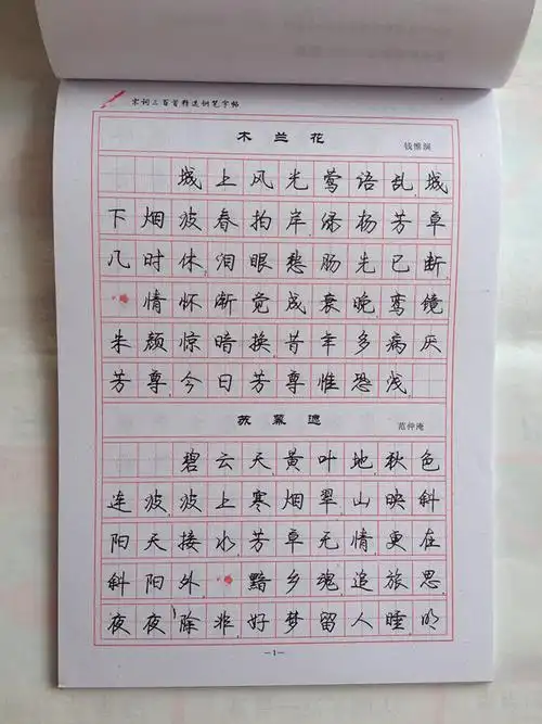 中国名家书法 学生成人练字钢笔字帖罗扬新时尚行书字帖批发