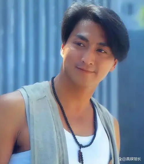 "消失"13年,最帅"展昭"何家劲,已经走上了另一条康庄大道