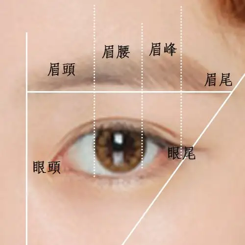 确定了眉头,眉峰和眉尾的位置对我们画好眉可是很有帮助的哦