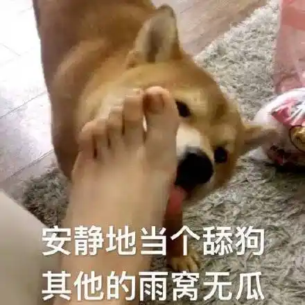 安静地当个舔狗,其他的雨窝无瓜_无瓜_当个_安静_其他表情