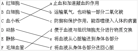 解答:解:血液包括血细胞和血浆,血细胞包括红细胞,白细胞和血小板