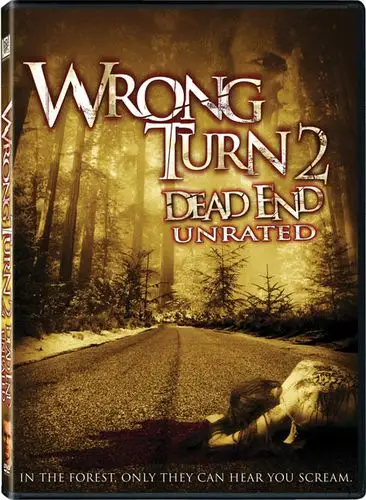 致命弯道4 电影高清完整版在线观看 迅雷下载