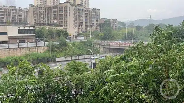 天气预报|注意防暑降温!明日重庆中心城区将迎40℃高温天气