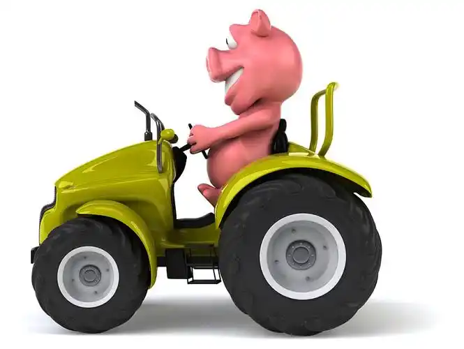 有趣_卡通_猪_拖拉机_隔绝_白色背景_图片素材