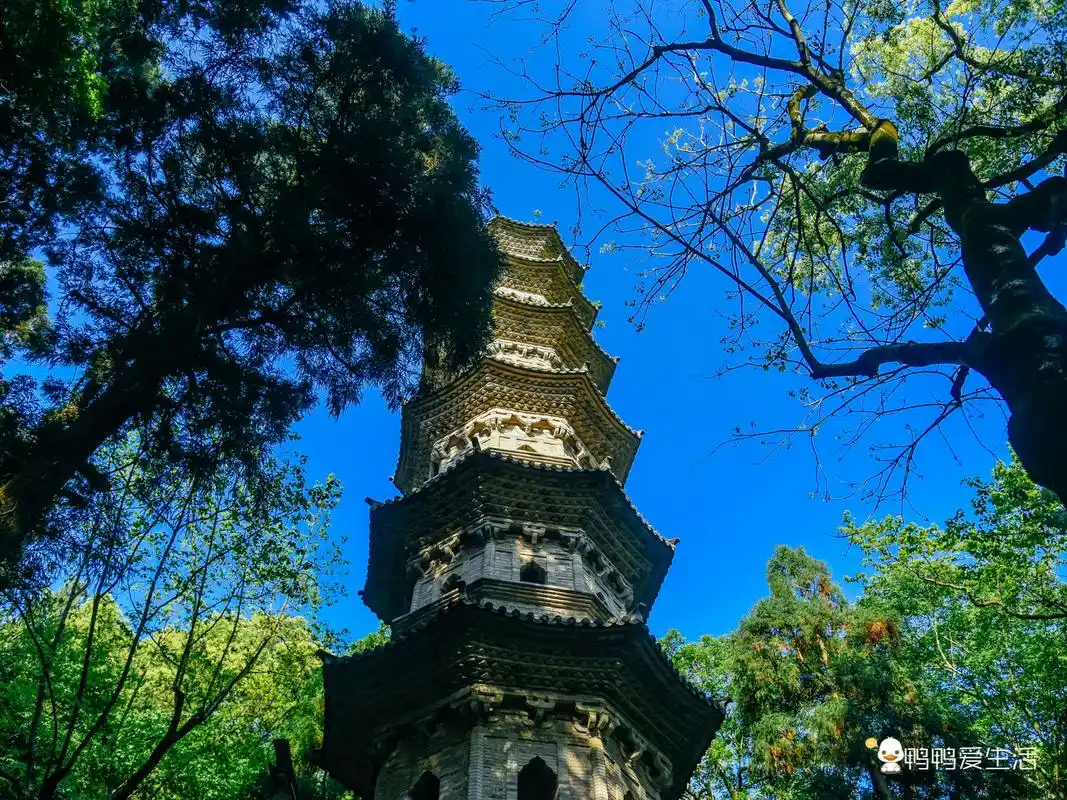 台州黄岩藏浙江开园最早县级公园,内有三塔九峰十二景,免费开放