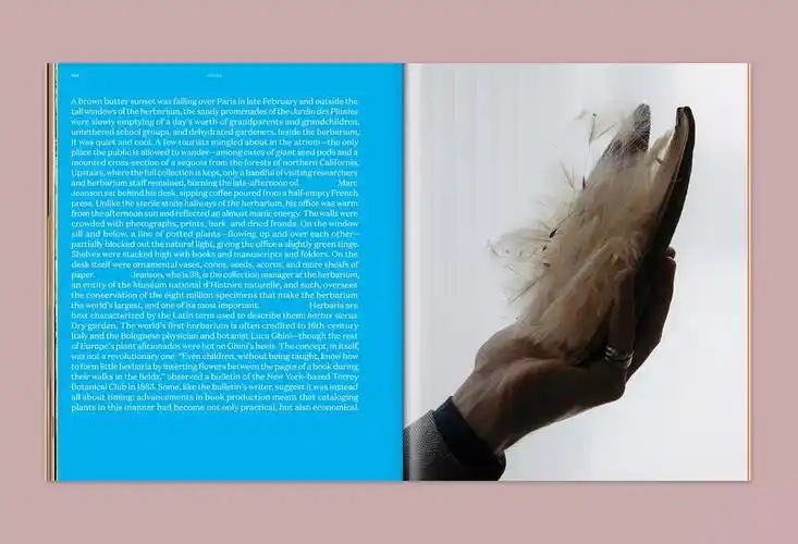 gossamer杂志内页排版设计