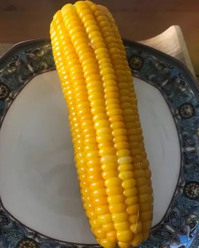 那些花花草草做的清煮甜玉米