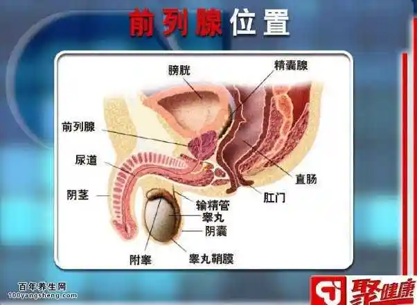 20150430聚健康视频和笔记张志超前列腺炎的自我疗法前列腺炎