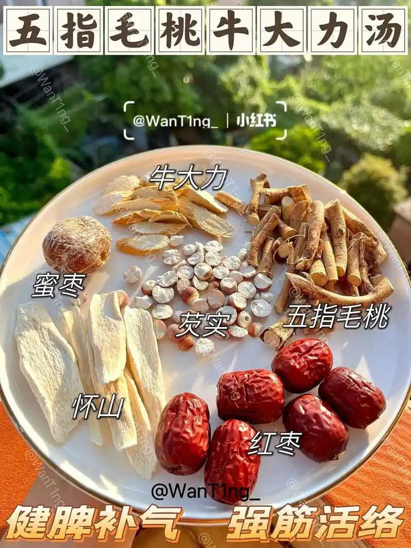 【五指毛桃牛大力汤】 90材料:五指毛桃,牛大力,怀山,芡实,红枣