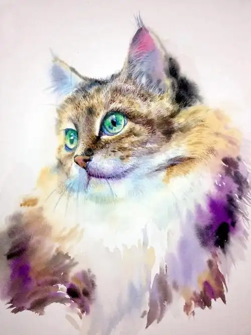 水彩笔下的动物栩栩如生︱泰国艺术家kitipong maksin作品