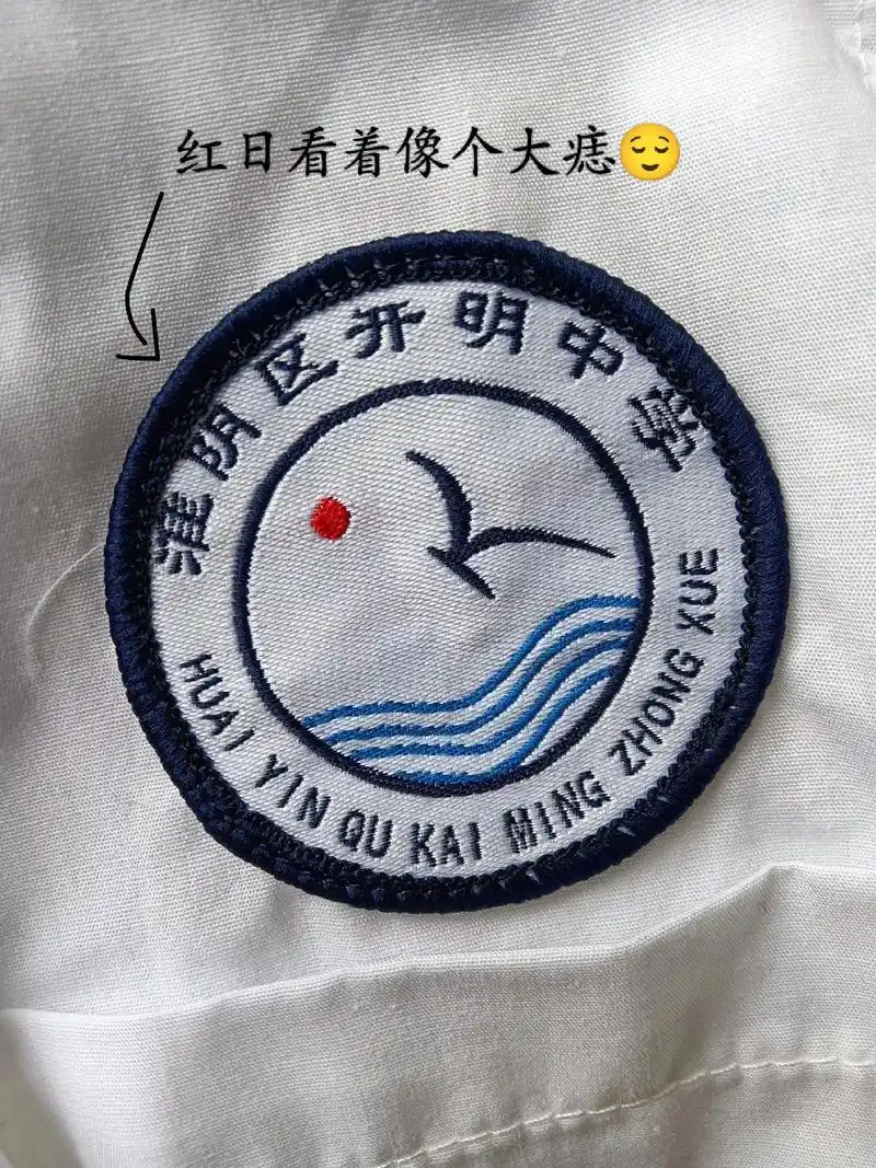 绘画 #校拟 #开明中学 #淮阴区开明中学  跟风画的中学 - 抖音