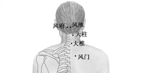 【经络疗法】1.