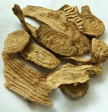 记载,商陆为五味子之母,具有滋补肝肾,益精血,强筋骨的功效