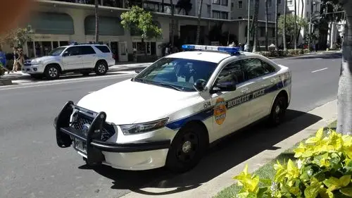 警车～看上去很平常,但马力很大,远超普通车辆,据说防撞性能极高