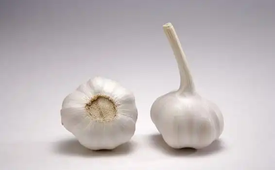 大蒜的功效与作用